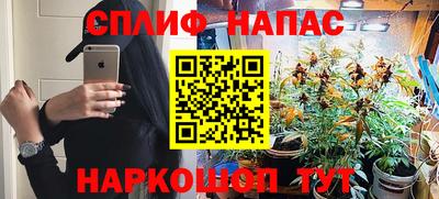 тгк Гусев