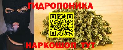 тгк Гусев