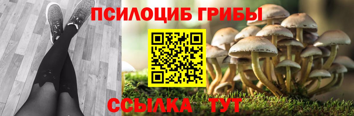 Псилоцибиновые грибы Cubensis Чебаркуль