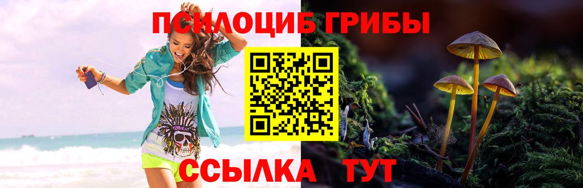 Галлюциногенные грибы мицелий  Галлюциногенные грибы прущие грибы  Вход с VPN  Чебаркуль 